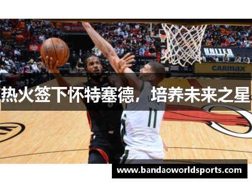 热火签下怀特塞德，培养未来之星
