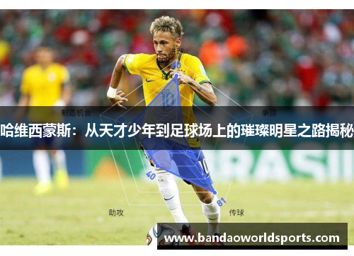 哈维西蒙斯：从天才少年到足球场上的璀璨明星之路揭秘