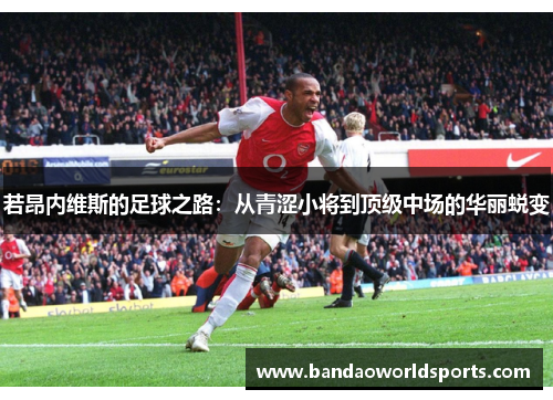 若昂内维斯的足球之路：从青涩小将到顶级中场的华丽蜕变